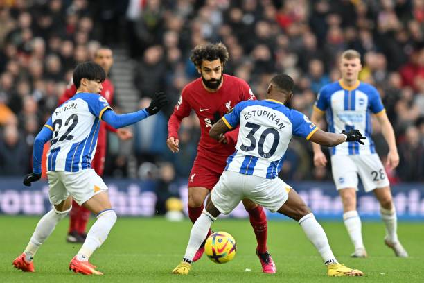 真考虑引进 真考虑引进